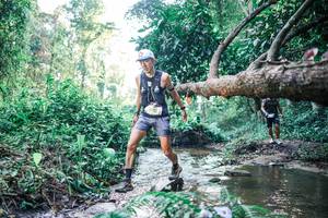 BIB: 
                            <button type="button" onclick="openModal(25431606)" class="btn btn-primary btn-sm float-right btn-popup" data-toggle="modal" data-target=".modal-high-quality">
                        <i class="fas fa-shopping-cart"></i> Add to Cart
                    </button>
                                            <button type="button" onclick="isThisMe(25431606, true)" class="btn btn-success btn-sm float-right btn-popup btn-isme hidden" data-toggle="tooltip" data-placement="bottom" title="นี่คือรูปของคุณใช่ไหม คลิกที่นี่เพื่อเอาเข้าอัลบั้ม">
                        <i class="fas fa-plus"></i> Add to album
                    </button>
                    <button type="button" onclick="isThisMe(25431606, false)" class="btn btn-warning btn-sm float-right btn-popup btn-isnotme hidden">
                        <i class="fas fa-ban"></i> Remove from album
                    </button>